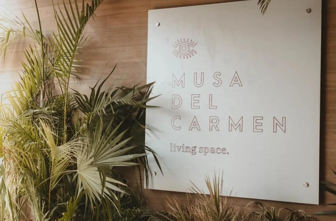 Musa 318 신데 델 카르멘 0*,